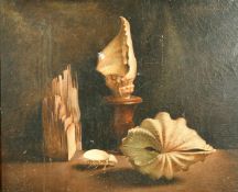 Early 20th Century French School, a still life study of shells, oil on canvas, 25.5