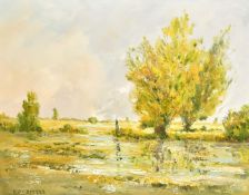 Kip Combes (20th Century), a view of a river through lowlands, oil on canvas, signed, 14