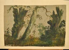 A collection of 20th Century, sketches and drawings, (unframed), (12).