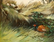 Berrisford Hill (b. 1930) British, A pointer searching for a hidden Pheasant in the undergrowth, oil
