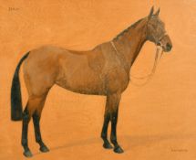 Francis Mabel Hollams (1877-1963) British, 'Julia', a chestnut horse, oil on wooden panel, signed