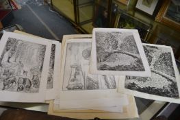 A group of unframed engravings.