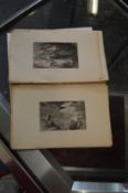A collection of small engravings.