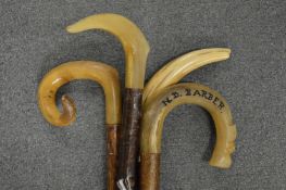 Four various walking sticks.