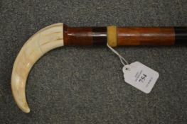 A specimen wood walking stick with bone handle.