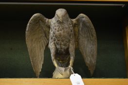 A large cast brass model of an eagle.
