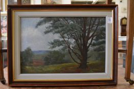 Rural landscape with a tree, oil on canvas.
