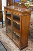 A Victorian mahogany two door bookcase.