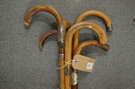 Six various walking sticks.