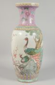 A LARGE CHINESE PINK GROUND FAMILLE ROSE PORCELAIN VASE painted with two peacocks beside a cherry