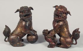 A PAIR OF CHINESE GILT BRONZE TEMPLE LIONS with hinged heads, the figures with traces of gilt and