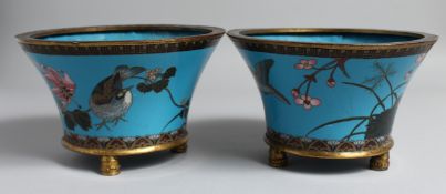 A SMALL PAIR OF JAPANESE BLUE-GROUND CLOISONNE JARDINIERES, the exteriors decorated with birds and