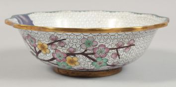 A CHINESE CLOISONNE BOWL decorated with cherry blossom and birds. 21cm diameter