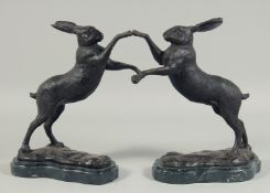 A PAIR OF CHINESE BRONZE BOXING HARES on marble bases.