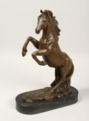A BRONZE REARING HORSE on a marble base. 12ins high.