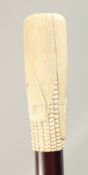 A WALKING STICK with carved bone handle 'CORN ON COB' 2ft 11ins long.