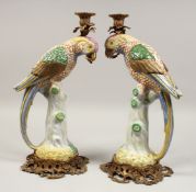 A LARGE PAIR OF PORCELAIN ORMOLU MOUNTED PARROT CANDLESTICKS. 16ins high.