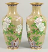 A PAIR OF JAPANESE CLOISONNE ENAMEL VASES with birch and blossom. 15ins high.