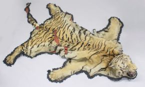 A LARGE MALE TIGER SKIN RUG to include its head and claws, with backing cloth. (A/F). Approx. 10ft x