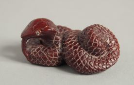 A CARVED WOOD NETSUKE SNAKES. 2ins