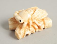 A CARVED BONE FLY on a branch. 1.5ins