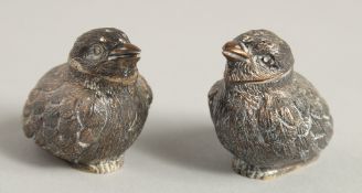 A PAIR OF SMALL EDWARD VII CHUBBY BIRD SALT AND PEPPERS. 1.5ins high. London 1903.
