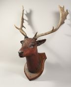 A FINE SPECIMEN STAG'S HEAD on a wooden shield.
