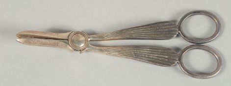 A PAIR OF GRAPE SCISSORS.