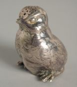 A SILVER CHICK PEPPER by B. MILLER, Chester, 1901 2.25ins.