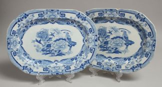 A PAIR OF IRONSTONE BLUE AND WHITE PLATES.
