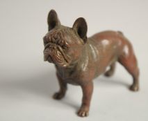 AN AUSTRIAN BRONZE STANDING BULLDOG. 2.75ins long.