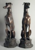A LARGE PAIR OF BRONZE SEATED GREYHOUNDS, on octagonal bases.