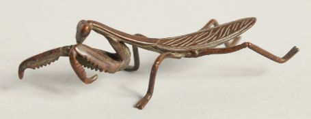 A BRONZE PRAYING MANTIS. 3.75ins long.
