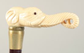 A WALKING STICK with cared bone handle 'ELEPHANT'. 2ft 8ins long.