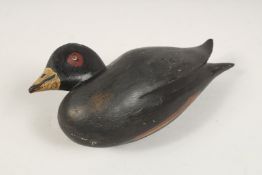 A PAINTED DECOY WOODEN DUCK 9.5ins long.