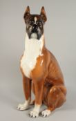 A LARGE CONTINENTAL POTTERY BOXER DOG. 32ins high.
