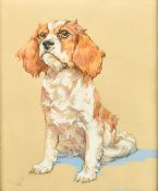 Kay Nixon (1894-1988) British, a study of a King Charles Spaniel, watercolour and charcoal,