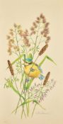 Ella Bruce (20th Century) Baby Blue Tit in grass, watercolour, signed in pencil, 13