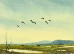 Vernon Lane (1925-1979) Flying Curlew, watercolour, signed, label verso, 9