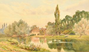 Albert George Stevens (1863-1927) British, swans gathered mid-river with a cottage beyond,