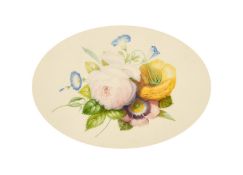 19th Century English School, Botanical study of flowers, watercolour, 4.25