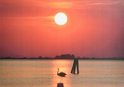 Dora Bertolutti Howard (b. 1957), Heron at Sunset near Venice, canvas print, 23.75