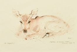 Ralph Thompson (1913-2009) Study of a deer, ink and wash, initialled, inscribed and dated Sept '