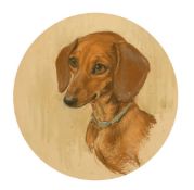 An early 20th Century head study of a Dachshund, pastel, 9