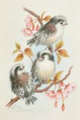 Ella Bruce (20th Century) Three baby birds on Cherry blossom, watercolour, signed in pencil, 9.5