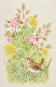 Ella Bruce (20th Century) A Wren with flowers, watercolour, signed in pencil, 11.5