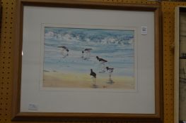 John White, Oyster catchers, watercolour.