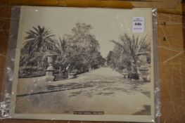 Photographic prints, unframed.