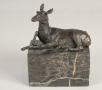A SMALL BRONZE OF A DEER. 5.5ins long on a marble base.