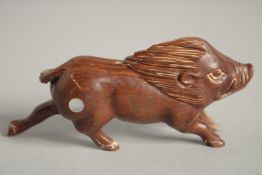 A BONE NETSUKE OF A BOAR. Signed, 2.5ins.